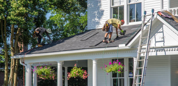 Best Roof Gutter Cleaning  in Franklin, VA